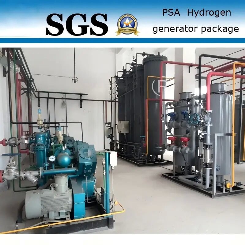 1 KW PSA generatore di idrogeno con purezza del 99,99% per applicazioni nell'industria dell'acciaio inossidabile