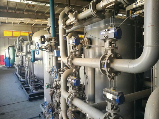 Qualità Adsorbente del setaccio molecolare del carbonio del generatore dell'azoto di PSA di industria dei prodotti farmaceutici fabbrica